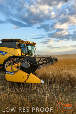 November 2017 / HARVEST_TUMBY_PM_170_171121_TRP6806