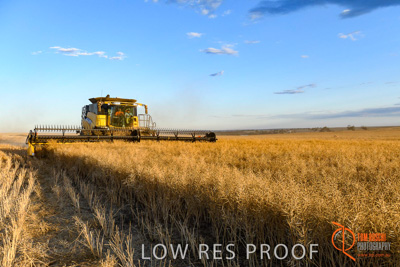 November 2017 / HARVEST_TUMBY_PM_180_171121_TRP6821