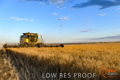 November 2017 / HARVEST_TUMBY_PM_181_171121_TRP6822