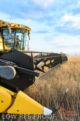 November 2017 / HARVEST_TUMBY_PM_194_171121_TRP6854