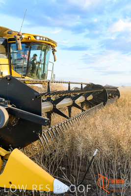 November 2017 / HARVEST_TUMBY_PM_196_171121_TRP6857