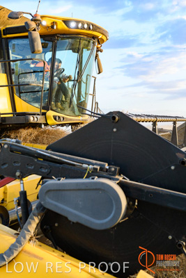 November 2017 / HARVEST_TUMBY_PM_199_171121_TRP6866