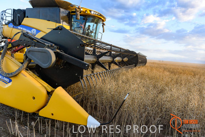 November 2017 / HARVEST_TUMBY_PM_204_171121_TRP6874