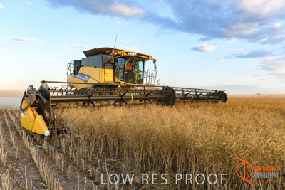 November 2017 / HARVEST_TUMBY_PM_206_171121_TRP6877