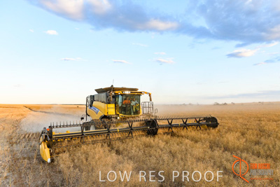 November 2017 / HARVEST_TUMBY_PM_212_171121_TRP6885