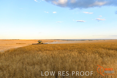 November 2017 / HARVEST_TUMBY_PM_219_171121_TRP6896