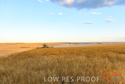 November 2017 / HARVEST_TUMBY_PM_221_171121_TRP6898