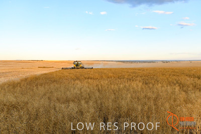 November 2017 / HARVEST_TUMBY_PM_222_171121_TRP6900