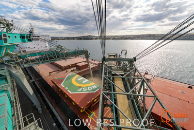 November 2017 / SHIP_LOADING_PL_125_171121_TRP6593