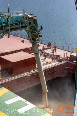 November 2017 / SHIP_LOADING_PL_135_171121_TRP8757