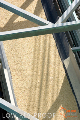 November 2017 / SHIP_LOADING_PL_141_171121_TRP8767