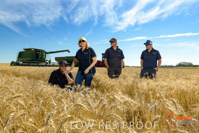 December 2017 / ECKERT_013_171219