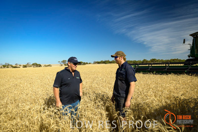 December 2017 / ECKERT_036_171219