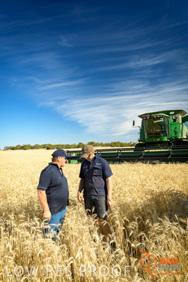 December 2017 / ECKERT_038_171219