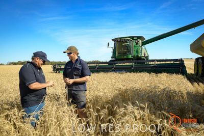 December 2017 / ECKERT_039_171219