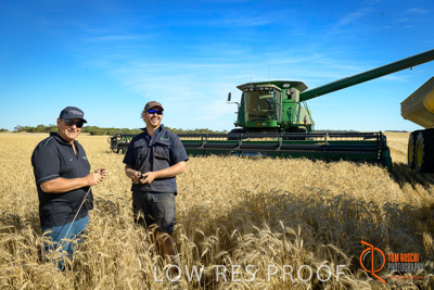 December 2017 / ECKERT_040_171219