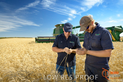 December 2017 / ECKERT_042_171219