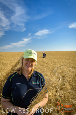 December 2017 / ECKERT_050_171219