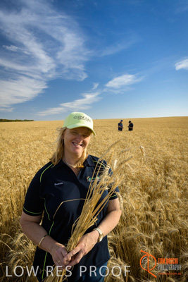 December 2017 / ECKERT_051_171219