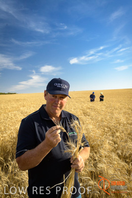 December 2017 / ECKERT_067_171219