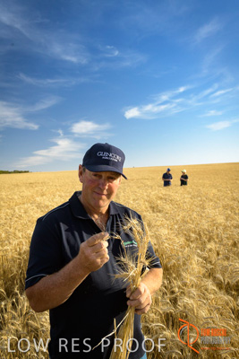 December 2017 / ECKERT_069_171219