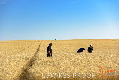 December 2017 / ECKERT_076_171219