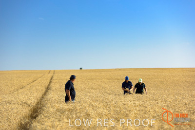 December 2017 / ECKERT_077_171219