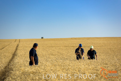 December 2017 / ECKERT_078_171219