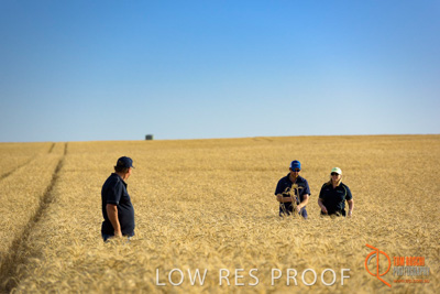 December 2017 / ECKERT_079_171219