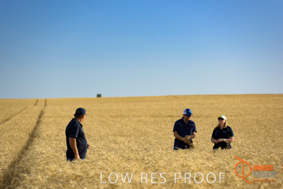 December 2017 / ECKERT_082_171219