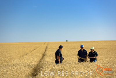 December 2017 / ECKERT_085_171219