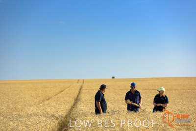 December 2017 / ECKERT_086_171219