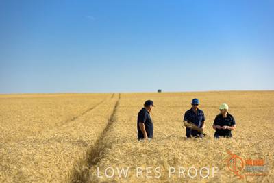 December 2017 / ECKERT_087_171219