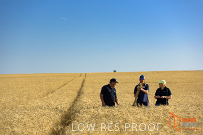 December 2017 / ECKERT_088_171219