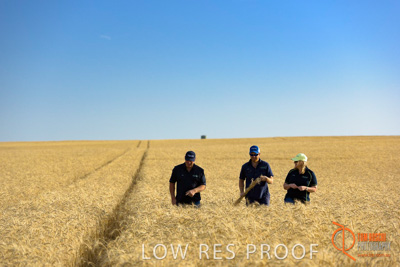 December 2017 / ECKERT_090_171219