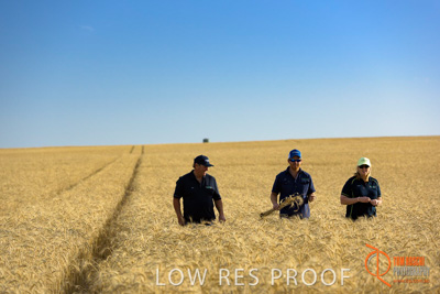 December 2017 / ECKERT_092_171219