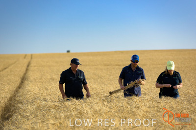 December 2017 / ECKERT_093_171219