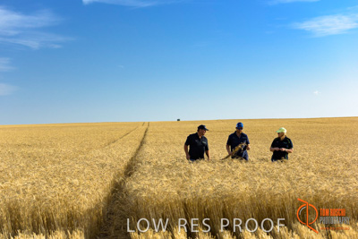 December 2017 / ECKERT_096_171219