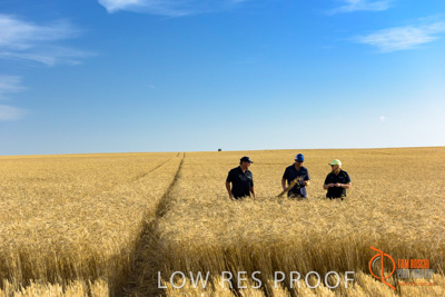 December 2017 / ECKERT_097_171219