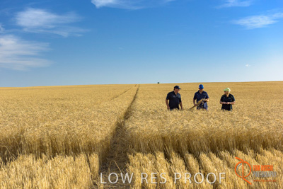 December 2017 / ECKERT_098_171219