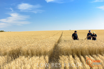 December 2017 / ECKERT_099_171219