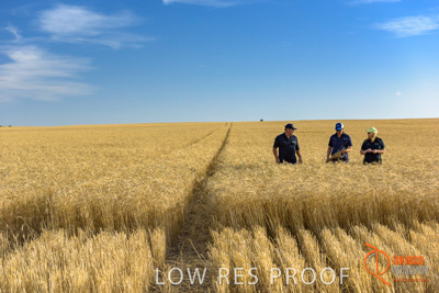 December 2017 / ECKERT_100_171219