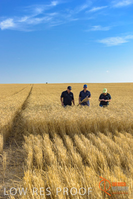 December 2017 / ECKERT_101_171219