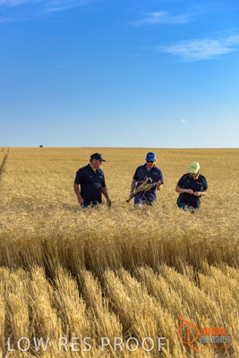 December 2017 / ECKERT_105_171219