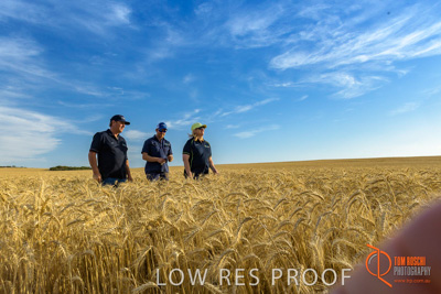 December 2017 / ECKERT_107_171219