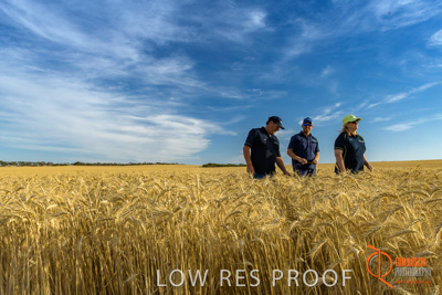 December 2017 / ECKERT_108_171219