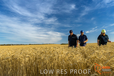 December 2017 / ECKERT_111_171219