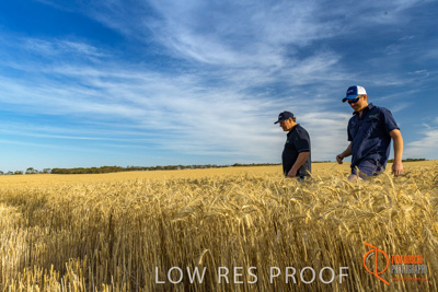 December 2017 / ECKERT_114_171219