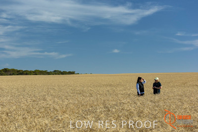 December 2017 / FARMER_VITERRA_STAFF_002_171219