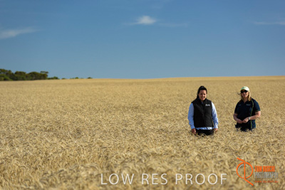 December 2017 / FARMER_VITERRA_STAFF_006_171219